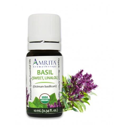 sweet basil and anxiety, sweet basil essential oil, using sweet basil for anxiety, 
